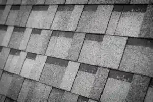 A shingled roof slope on a commercial building.